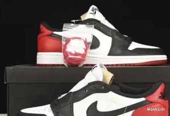 1 LOW JORDAN 555088-1251 AIR 0420